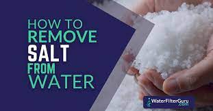 how to remove salt from water at home