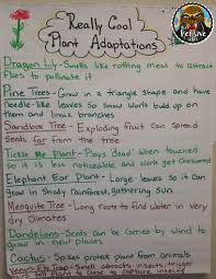 Plant Adaptations Anchor Chart From The Pensive Sloth For