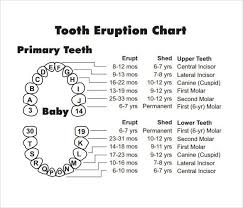 Baby Teeth Chart Many Times Something Cold In Your
