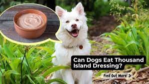 can dogs eat thousand island dressing