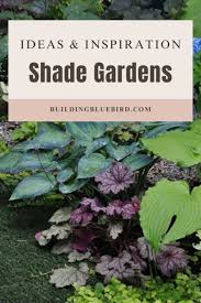 7 Beautiful Shade Garden Ideas