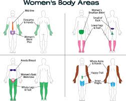 Laserhairremoval Zones For Women How Would You Like To