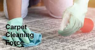 carpet cleaning without machine