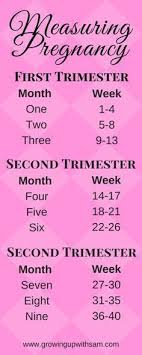Measuring Pregnancy Pregnancy Chart First Trimester