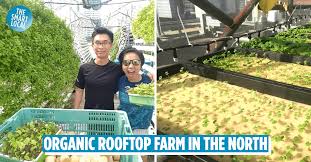 urban farms in singapore for locally