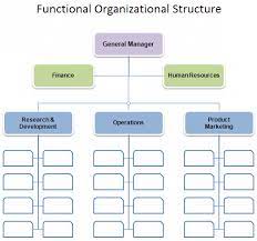 free organizational chart template