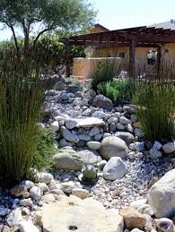 Water Wise Garden Design South Africa