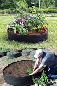 Inexpensive Raised Garden Bed Ideas