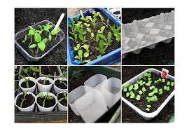 12 Seed Starting Ideas Using Recycled