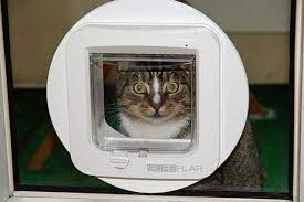 fitting a cat flap to your external doors