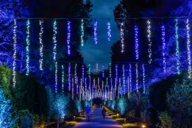 longwood gardens christmas lights show