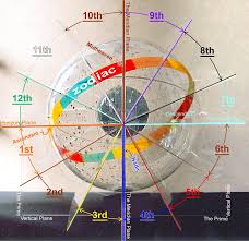 Astrology Houses Explained With Superb 3d Astrology Images