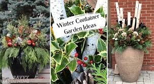outdoor winter container garden ideas