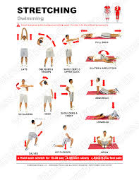 To increase your flexibility and mobility (basically, ability to get around) try to do these stretches every day, or as often as possible. 13 Swimmers Stretches Pdf File Plus Tracking Guide