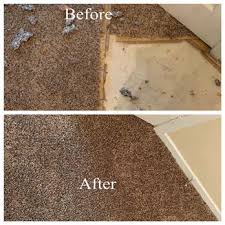 m m carpet cleaning southaven