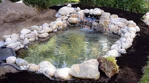 build a new in ground backyard pond