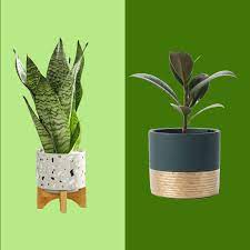 46 Best Pots And Planters On