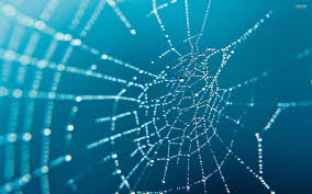 Find images of web design. Spider Web Backgrounds Wallpaper Cave