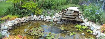 Water Gardening Steps For Building A