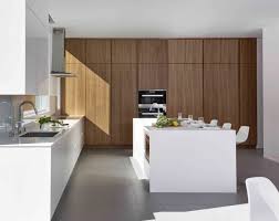 modern kitchen in scarsdale, ny cesar