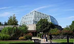 erfly conservatory in niagara falls