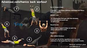 calisthenics back workout for strength