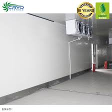 If a diy cooler project is not your cup of tea, you lack the construction experience necessary for a project like a. China 20 Energy Saving Frozen Meat Diy Walk In Freezer China Cold Storage Facilities Cold Room For Vegetables