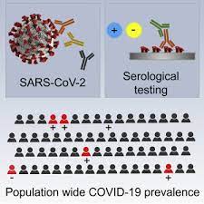 sars cov 2 antibody testing for