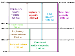 Volumes Capacities 2