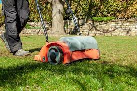 how to dethatch a lawn and why you