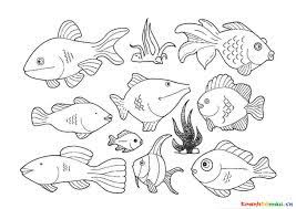 Tổng hợp những bức tranh tô màu con cá siêu đẹp cho bé - Phú Long Blog