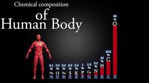 chemical composition of human body