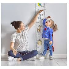 Wall Height Chart Growth Chart For Kids