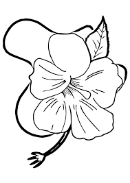 Hibiscus flower coloring pages hibiscus flower picture coloring page. Coloring Pages Hibiscus Coloring Page