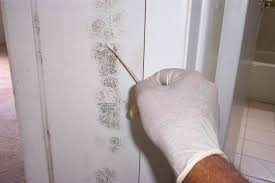 Mold inspection is a different process from typical housing inspections. How To Detect Household Mold