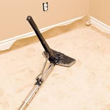 discover carpet care carpet cleaning