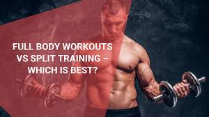 full body workouts vs split training