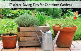 Water Saving Tips For Container Gardens