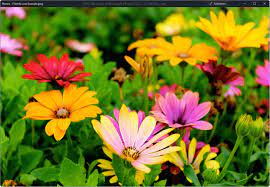 jpeg file what is a jpeg file and