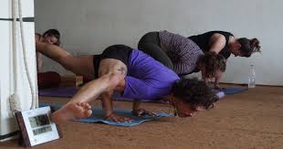 the 200 hours ashtanga yoga teacher courses is offered by vishuddhi yoga teacher in dharamsala india the place is right for any