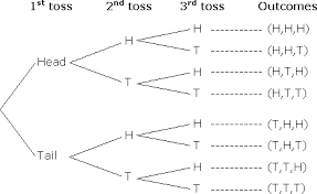 Probability Tree Diagram Coins Tree Diagram Diagram