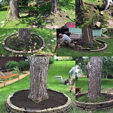 Diy Tree Ring Herb Garden Remodern