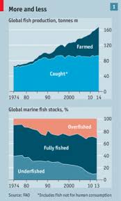 Six Visualizations That Explore The Extent Of Overfishing