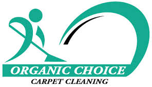 carpet cleaning studio city best