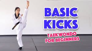 learn martial arts 3 basic kicks for