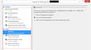 pstip setting hyper v client settings