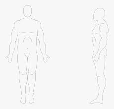 The feet are spaced slightly apart with the toes pointing forward. Human Body Front And Side Anatomical Position Front And Side Hd Png Download Kindpng