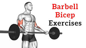 barbell bicep exercises workout for