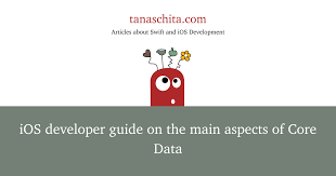 ios developer guide on the main aspects
