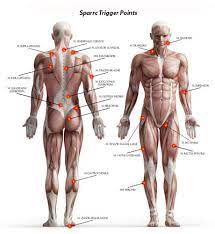 myofascial trigger point release
